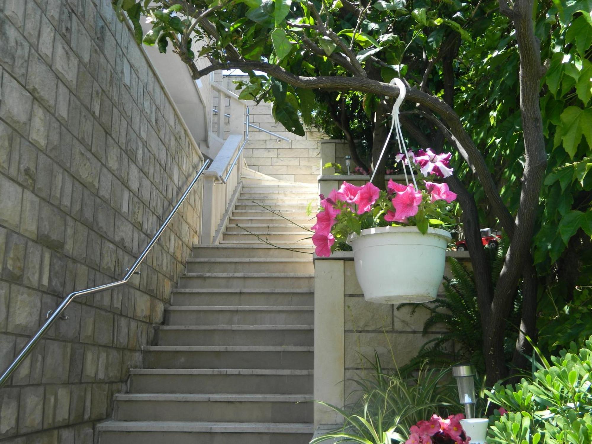 Brunor * Dubrovnik