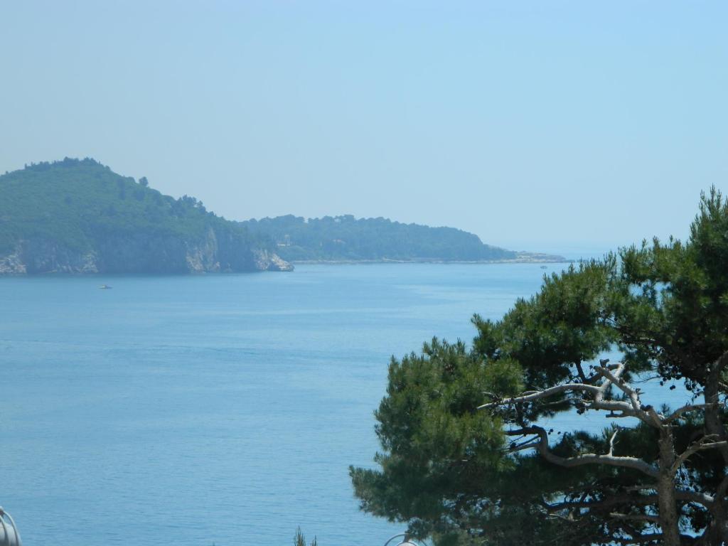 Brunor * Dubrovnik